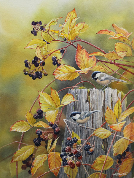 Susan Bourdet - Chickadees