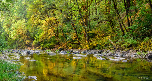 "South Santiam River" by Bill Origer